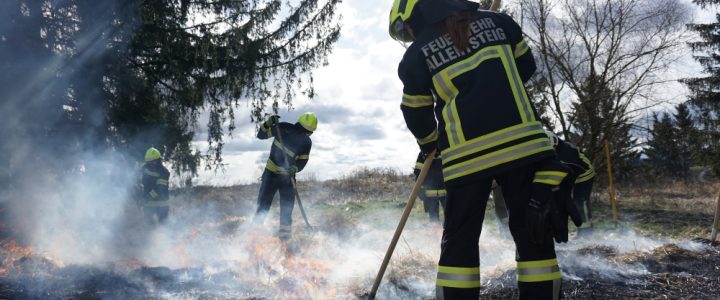 Wald- und Flurbrandbekämpfung – Grundlagen